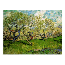 Van- Goghobstgarten in der Blüte Amsterdam Postkarte
