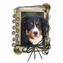 Vatertag - Steintatzen - Bernese Gebirgshund Photofiguren