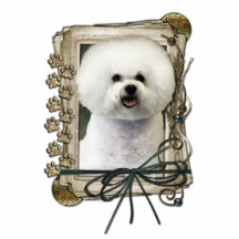 Vatertag - Steintatzen - Bichon Frise Fotoskulpturen