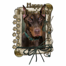 Vatertag - Steintatzen - Dobermann - Rot - felsig Ausschnitt