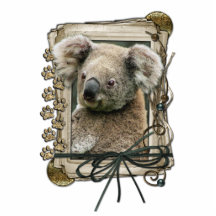 Vatertag - Steintatzen - Koala Photofigur