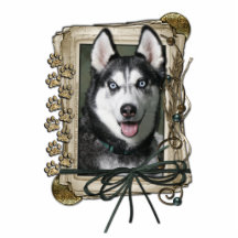 Vatertag - Steintatzen - sibirischer Husky Acrylausschnitt