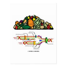 Vegetarier DNS (vegetarische Haltung) Postkarte