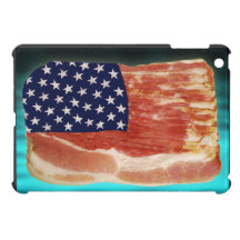 Vereinigte Staaten Speck iPad Minifalles