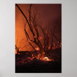 Verheerendes Feuer Plakate