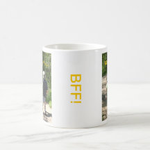 Vermisst Sie Kaffeehaferl