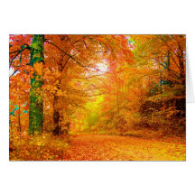 Vermont-Herbst Karten