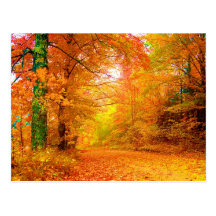 Vermont-Herbst Postkarte