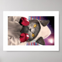 Verpacken-Miezekatze Plakatdrucke