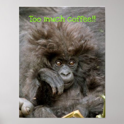 Verrückter Haar-Affe zu viel Kaffee-Plakat