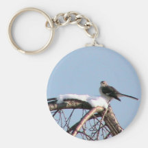 Verspottender Vogel auf Baum Schlüsselband