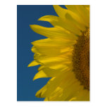 Vertikale Sonnenblume-Postkarte