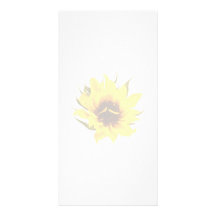 Verwirrte Sonnenblume Photogrußkarten
