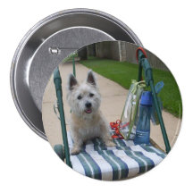 Verwöhnter Hund Button