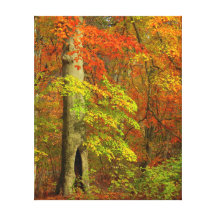 Verzauberter Herbst Leinwanddruck