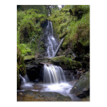 Verzauberter Wald Postkarte