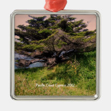 Verzierung - Pazifikküsteszene #6 Kaliforniens Weihnachtsbaum Ornament