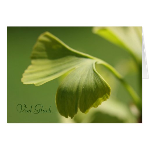 Viel Glück - Ginkgoblatt Karte