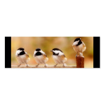 Vier Chickadees Visitenkarten