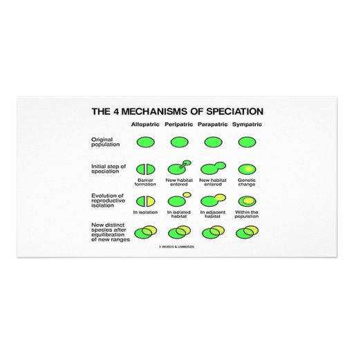 Vier Mechanismen Speciation (Evolution) Bild Karte
