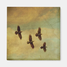 Vier Raben-Fliegen Kühlschrankmagnete