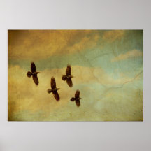 Vier Raben-Fliegen Plakatdruck
