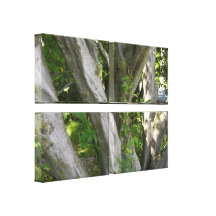 Viererkabel der Bäume! Gespannte Galerie Drucke