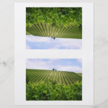 Vineyard - Weinberg (Bordeaux - Frankreich) 02 Individuelle Flyer