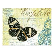 Vintag erforschen Sie Butterly… Postkarte