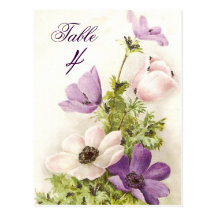 Vintage Anemone Postkarten