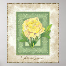 Vintage Art mit Blumen - gelbe Pfingstrose mit Bro Poster
