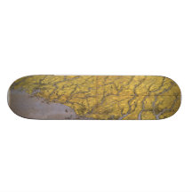 Vintage bildhafte Karte von Nord-Carolina (1861) Individuelles Skateboard