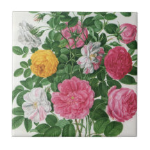Vintage blühende Blumen, Frühlings-Garten-Rosen Keramikkachel