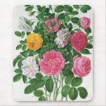 Vintage blühende Blumen, Frühlings-Garten-Rosen Mauspads