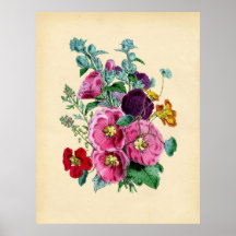 Vintage botanische Hollyhocks - Druck Posterdrucke