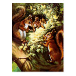 Vintage Eichhörnchen-Postkarte