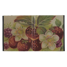 Vintage Erdbeeren