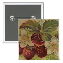 Vintage Erdbeeren Anstecknadelbuttons
