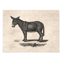 Vintage Esel-Illustration - Esel 1800's Kunst Photo