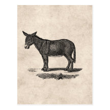 Vintage Esel-Illustration - Esel 1800's Postkarte