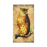 Vintage Eule Gespannte Galeriedrucke