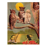 Vintage Eulen Postkarte