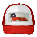 Vintage Flagge Chile La Roja des chilenischen Flag Netz Caps