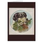 Vintage Grenzcollie-Weihnachtskarte