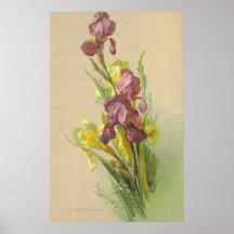 Vintage Litho Wiedergabe-Leinwand Catherine Klein Posterdrucke