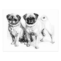 Vintage Mops-Illustration Postkarten