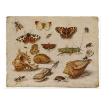 Vintage Natur-Postkarte