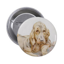 Vintage niedliche Bluthunde, Welpen-Hunde durch EJ Buttons