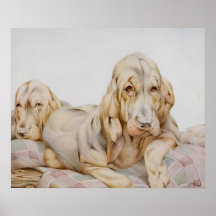 Vintage niedliche Bluthunde, Welpen-Hunde durch EJ Posterdrucke
