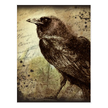 Vintage Raben-Postkarte